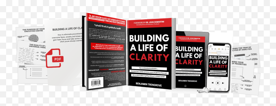 Building A Life Of Clarity Emoji,Balancing Emotions For Greater Achievement Demartini