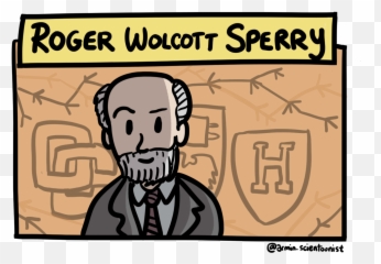 History Of Neuroscience Timeline - Roger Sperry Cartoon Emoji,Cartoons Of People Showing Great Emotion