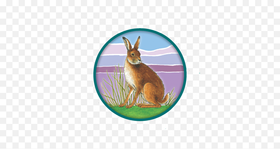 Hare Folklore U0026 The Easter Connection U2013 Wild Nephin - Grassland Emoji,Pagan Easter Bunny Emoticons