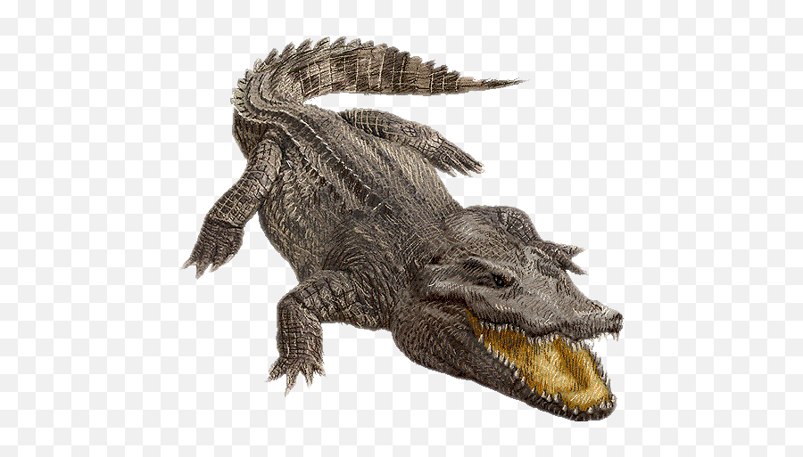 Crocodile Emoji,Android Alligator Emoji
