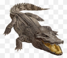 Crocodile Emoji,Android Alligator Emoji