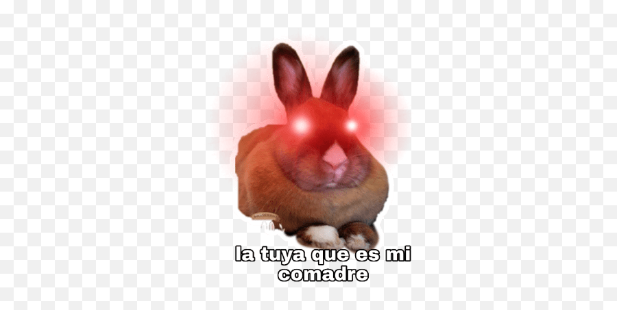 Conejos Groseros Y Malcriados - La Tuya En Vinagre Sticker Emoji,Emojis Groceros