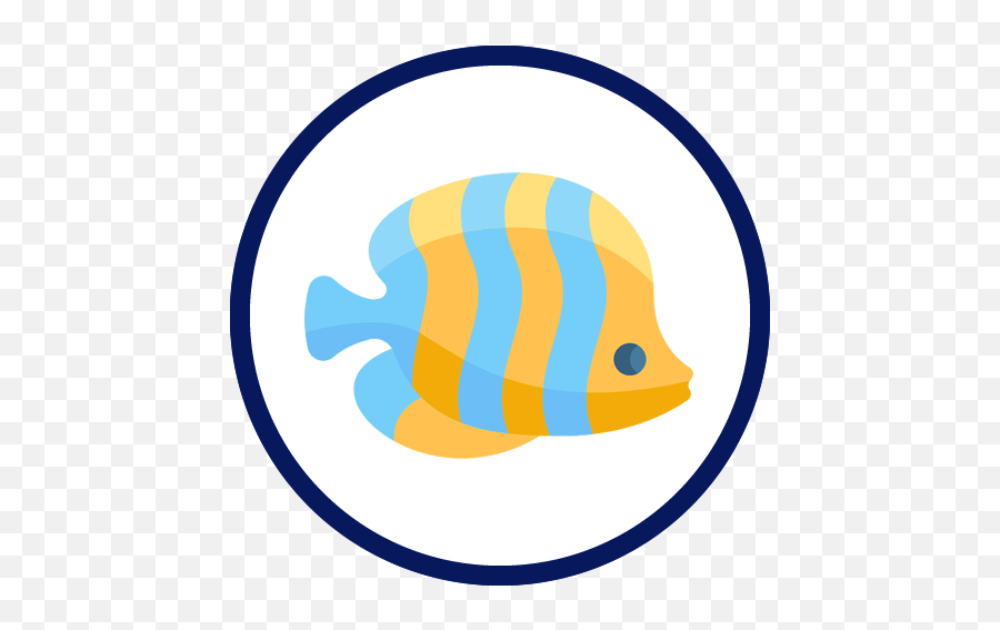 Best Floating Aquarium Plants Professional Aquariumfish Emoji,Emoji Pictures Rare Star Wars
