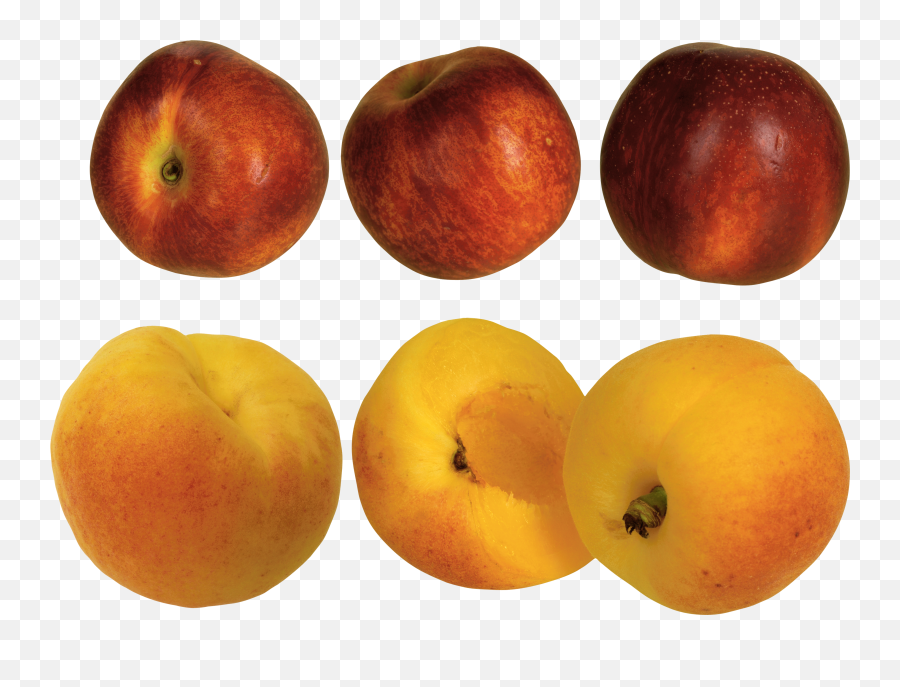 Peach Png Transparent - Peach Emoji,Peachy Emojis