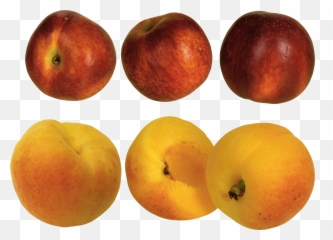 Peach Png Transparent - Peach Emoji,Peachy Emojis
