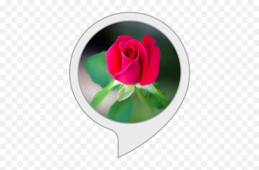 Amazonin Dev Flower Alexa Skills Emoji,Emoji Flower Rose