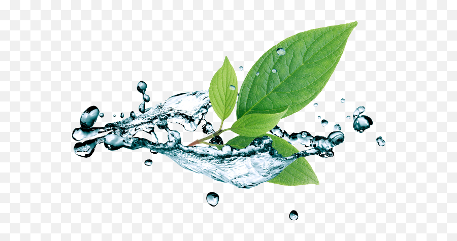 Leaf Water Drop Png Picture Png Mart Emoji,Water Drip Emoji