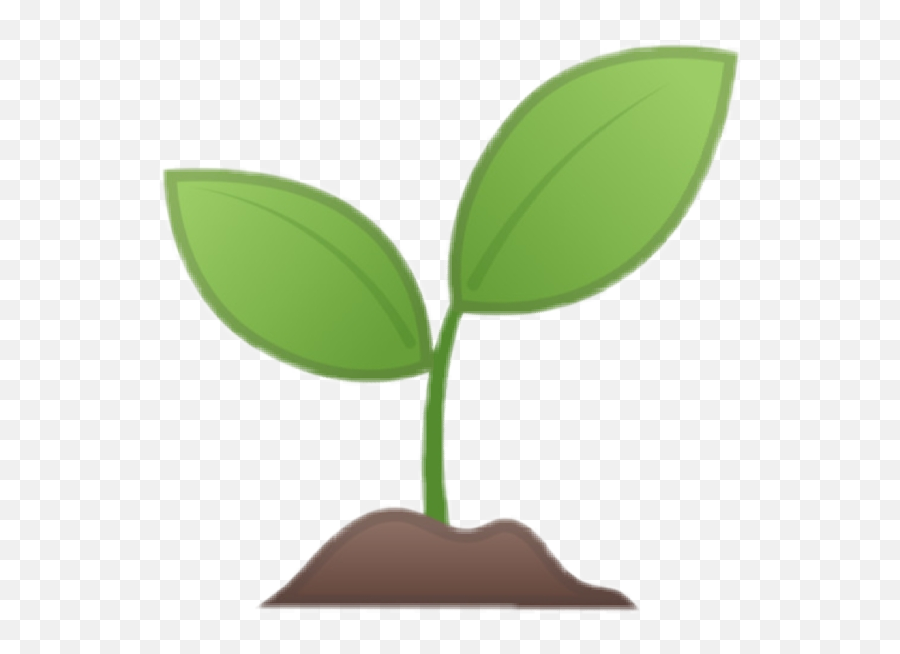 Emoji Planta Plantita 281238339001211 By Secretboy0,Whatsapp Emoji Explained