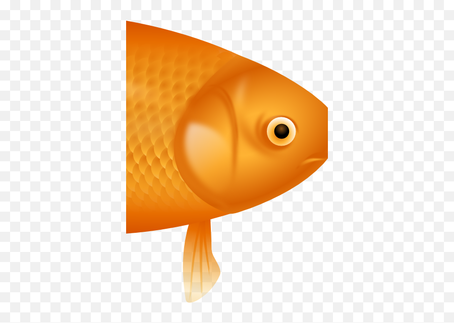 Example Image Of A Fish - File Flif Emoji,Gold Fish Emoji