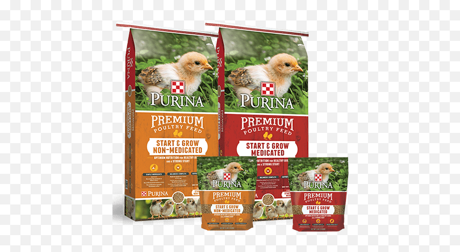 Poultry - Purina Start And Grow Medicated Emoji,Cornish Cross Chicken Emotions