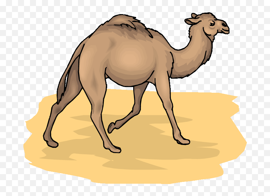 Camel Clip Art - Clipart Camels Emoji,Camel Ride Emoticon
