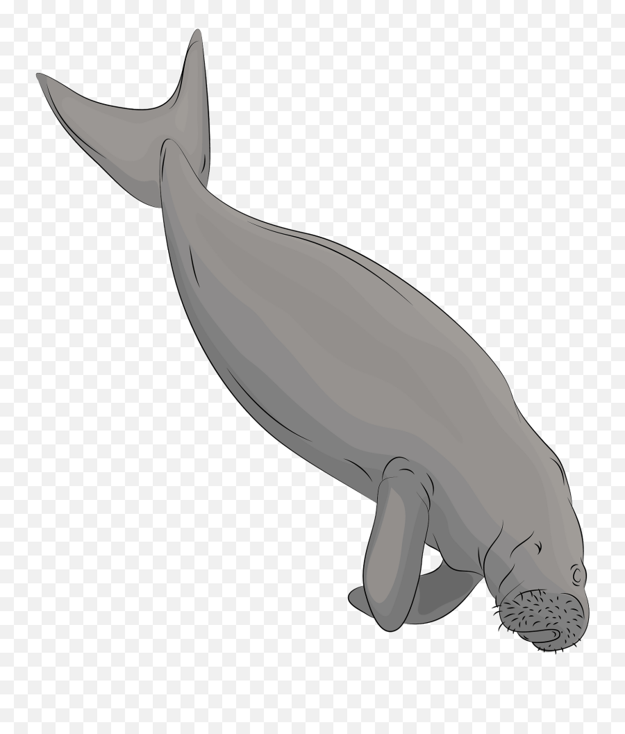 Dugong Clipart - Dugong Clipart Emoji,Manatee Emoji