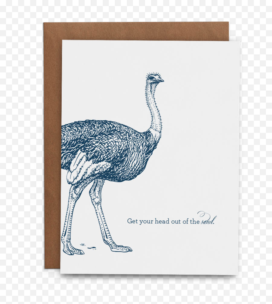 Sand Ostrich Greeting Card - Letterkenny Ostrich Emoji,Artist Hide They Emotions In Their Artwork?