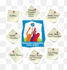 Coordinated School Health - Activity For Health Services Emoji,Pre K Different Emotions