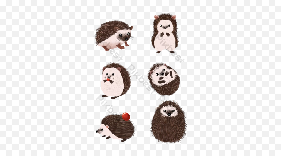 Hedgehog Images Free Png Graphicsvector And Psd Download Emoji,Free Squirrel Emoticons