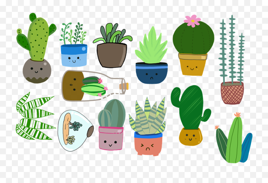 Free Photo Houseplants Cacti Succulents - Gambar Tanaman Hias Kartun Emoji,Plants Emotions Art