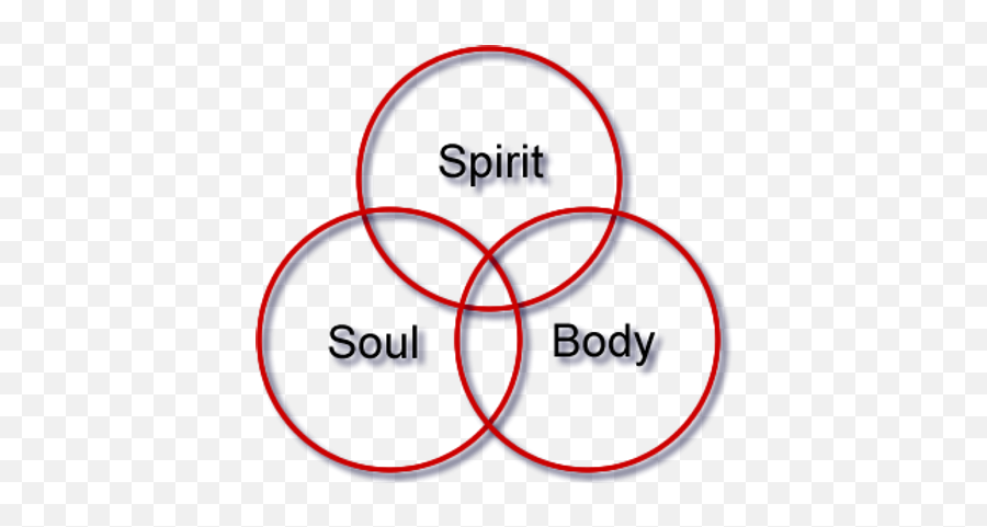 The Body Soul Spirit Connection Holistic Transformation - Three Interlocking Circles Churchill Emoji,Emotions Stored In The Body