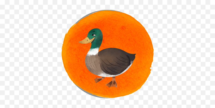 Not About Ducks Emoji,:ducky Emoji