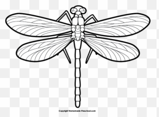 Free Dragonfly Clipart - Dragonfly Clip Art Black And White Emoji,Dragonfly Emoji