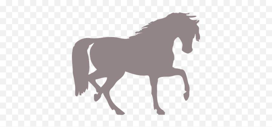 90 Free Stallion U0026 Horse Vectors - Pixabay Horse Silhouette Clip Art Emoji,Man And Horse Emoji