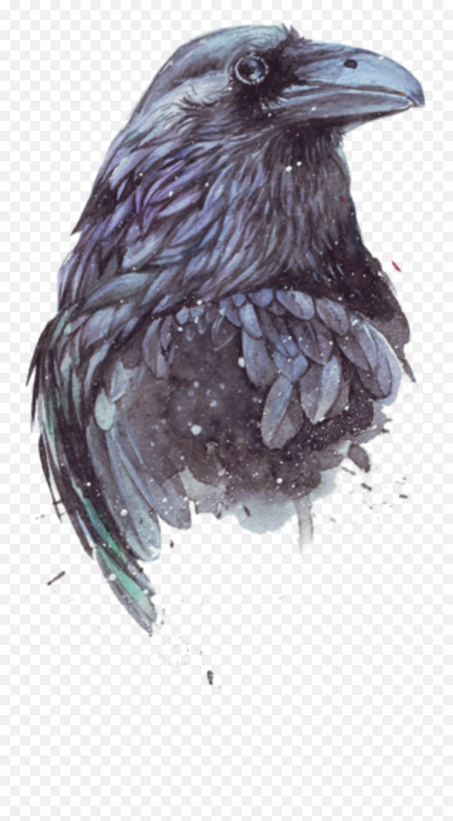 Bird Raven Crow Magpie Sticker - American Crow Emoji,Raven Bird Emoji