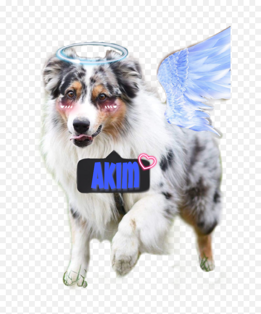 Mysticker Dog Akim Sticker - Fictional Character Emoji,Sheltie Emoji