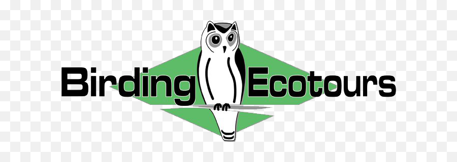A County Big Year During Covid - 19 Birding Ecotours Birding Ecotours Emoji,Philadelphia Eagles Emoji