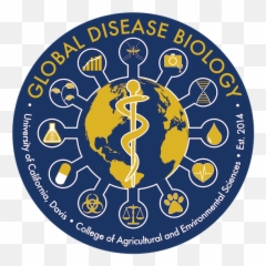 Faqs - Language Emoji,Biological Aspect Of Emotions And Diseases
