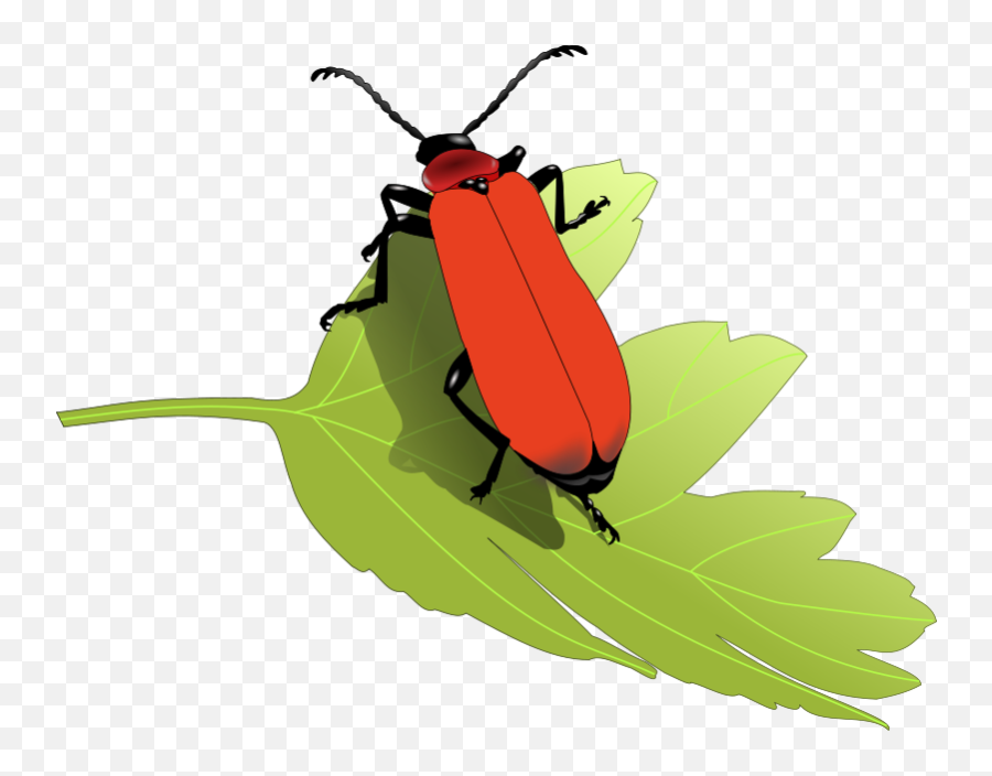 Vw Bug Clipart Download Free Clip Art - Pest On Leaf Cartoon Emoji,Punch Buggy Emoticon