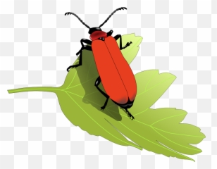 Vw Bug Clipart Download Free Clip Art - Pest On Leaf Cartoon Emoji,Punch Buggy Emoticon