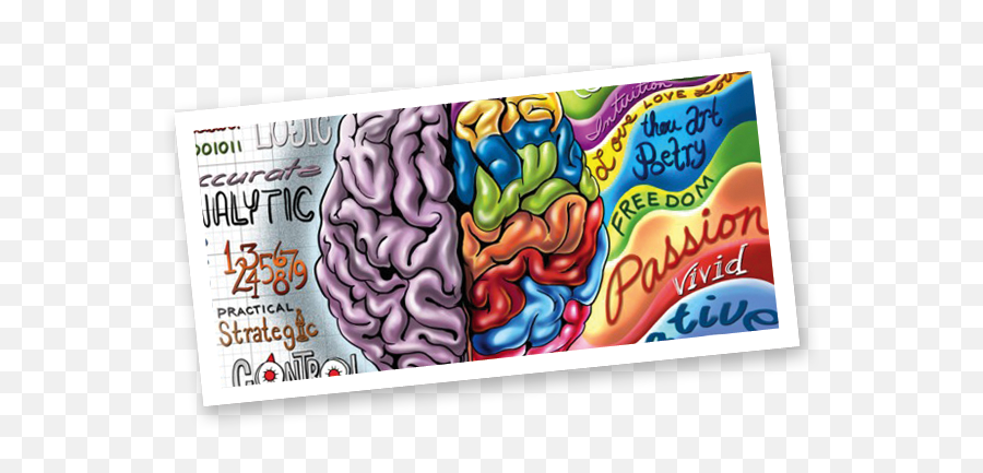 Explore Your Kidu0027s Awesome Brain - Writebrainbookscom Daniel Siegel The Whole Brain Child Emoji,Brain Hand Emotion Model