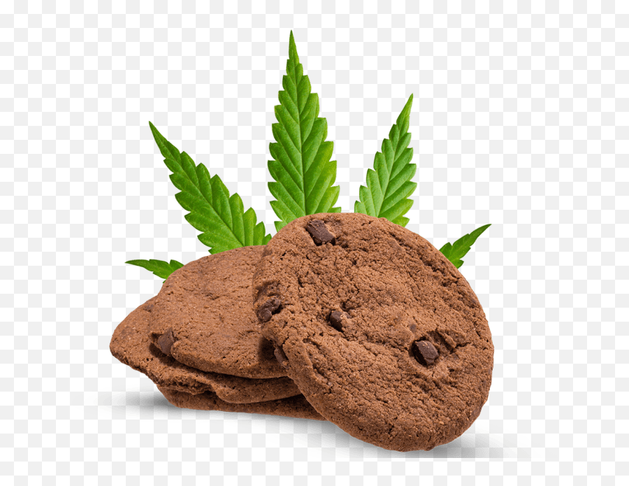 Whatu0027s New Green Cultured Elearning Solutions - Cannabis Leaf Emoji,Medical Marijuana Symbols And Emojis