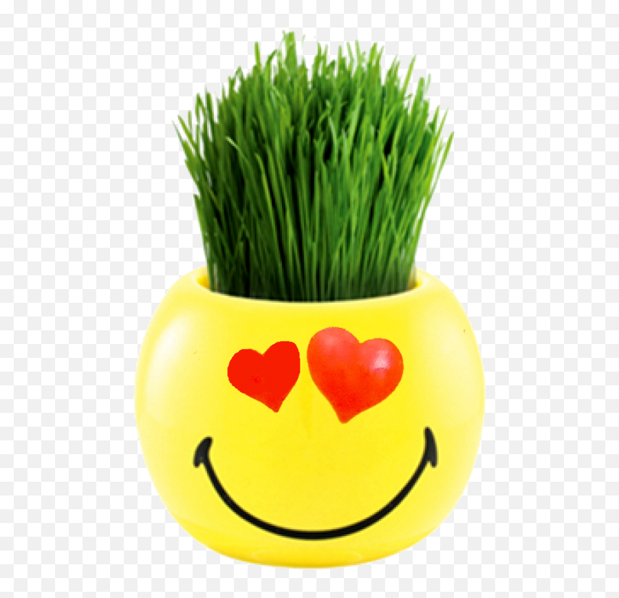 Smileys Ryegrass - Grass Grow Kit Emoji,Emoticon For A Pot