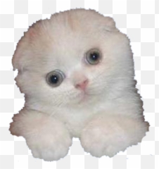Cute - Soft Emoji,Funny Hugs & Kisses Emojis