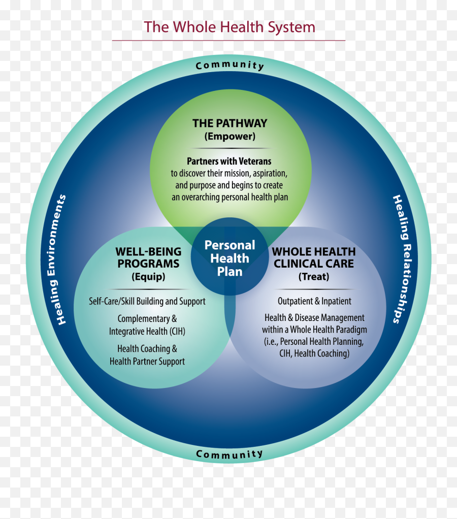 More Than Medicine - Whole Health Emoji,Medicine Wheel Mind Body Emotion Spirit