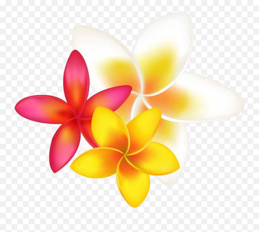 Tropical Flower Clipart Png Transparent - Transparent Flowers Stickers Png Emoji,Tropical Flower Emoji