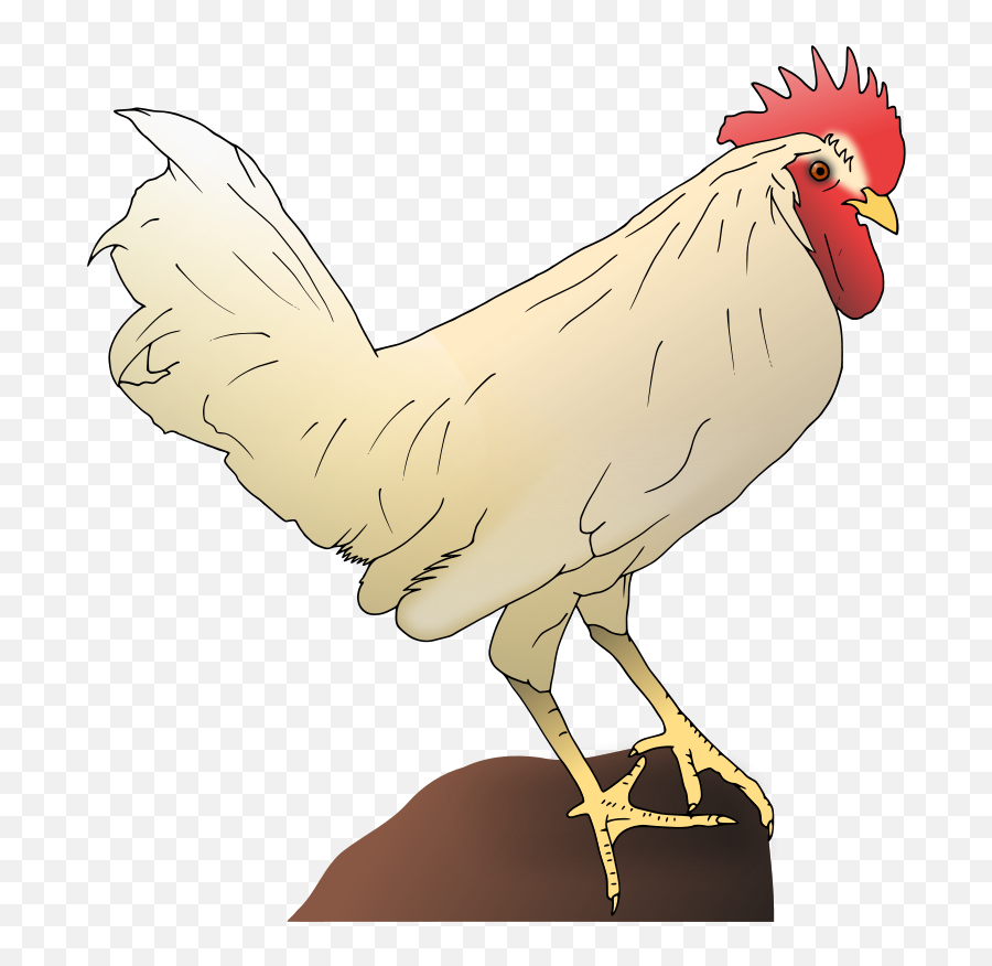 Chicken Images Download Free Clip Art - Clipart Emoji,Old Man Chicken Leg Emoji