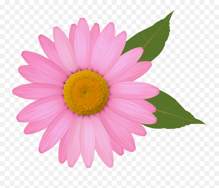 Free Pink Flower Transparent Download Free Clip Art Free - Pink Daisy Clipart Emoji,Pink Flower Emoji Transparent