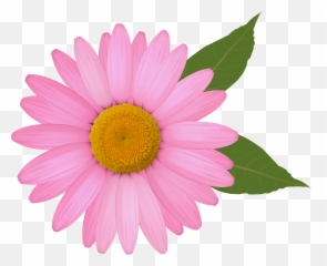 Free Pink Flower Transparent Download Free Clip Art Free - Pink Daisy Clipart Emoji,Pink Flower Emoji Transparent