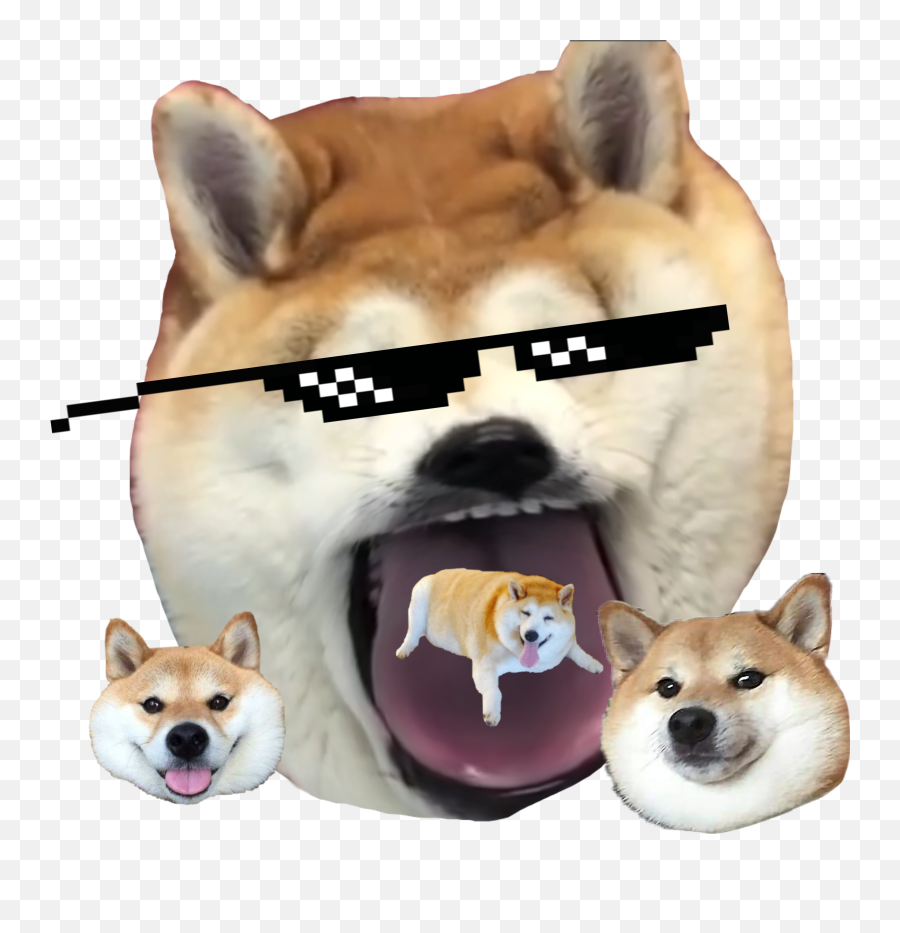 Shibe Shibenation Meme Memes Sticker Emoji,Shibe Emoji