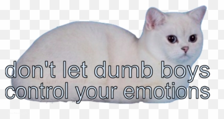 Dumb And Dumber - Don T Let Control Your Emotions Emoji,Funny Choking Emotion