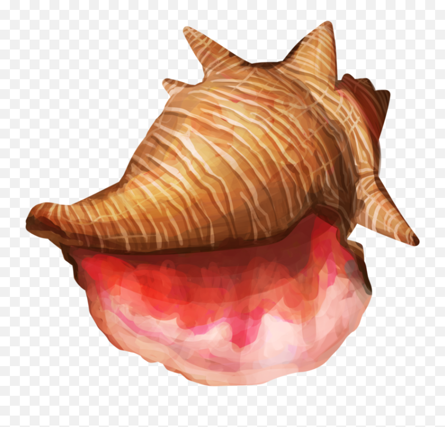 Conch Shell Png High - Conch Shell Png Male Emoji,Caracol Emojis Png