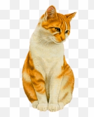 Cats Illustration Cat Artwork - Cat Illustration Real Emoji,Kitty Emoji