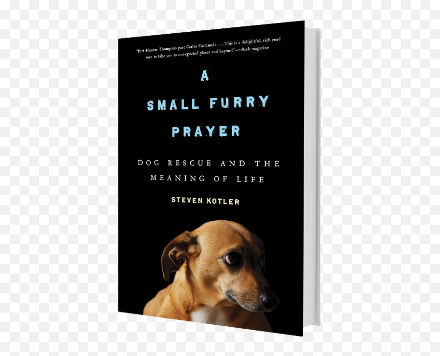 A Small Furry Prayer - Small Furry Prayer Emoji,Heartfelt Emotions Lost Your Dog Images