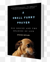 A Small Furry Prayer - Small Furry Prayer Emoji,Heartfelt Emotions Lost Your Dog Images