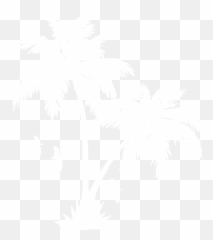 Download Collection Of Free Transparent White Palm Tree Emoji,Palm Tree Emoji Png