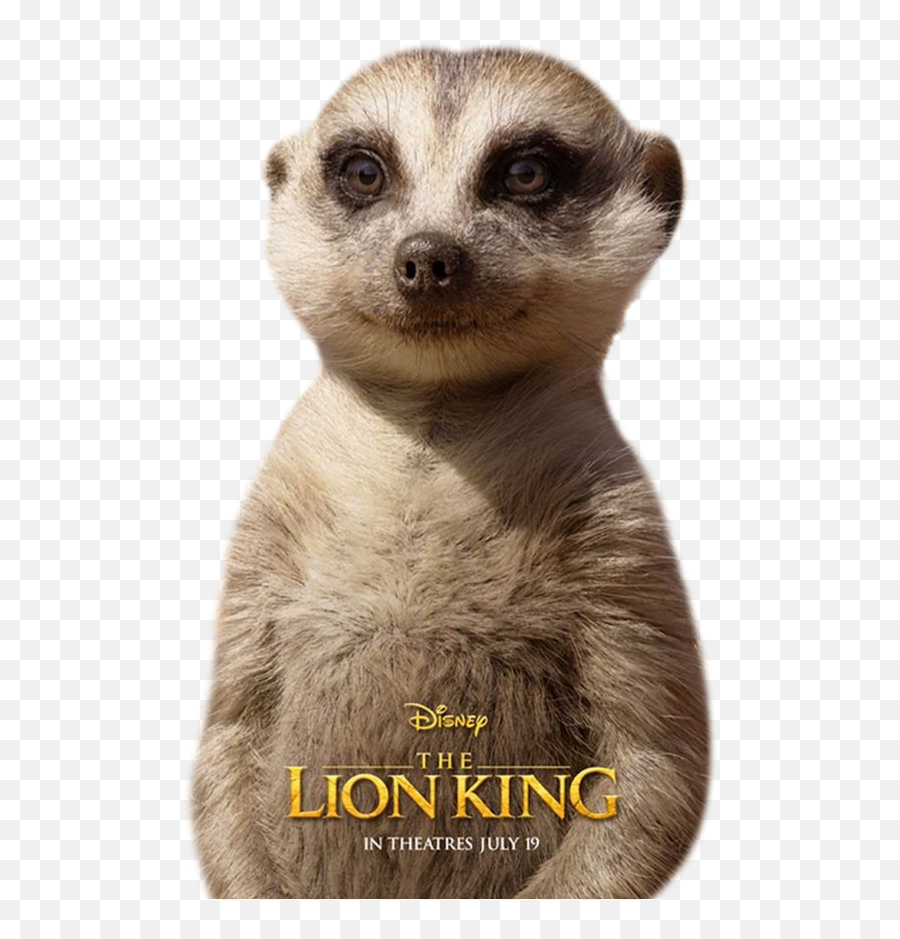 The Most Edited - Lion King 1 1 2 Emoji,Meerkat Emoji