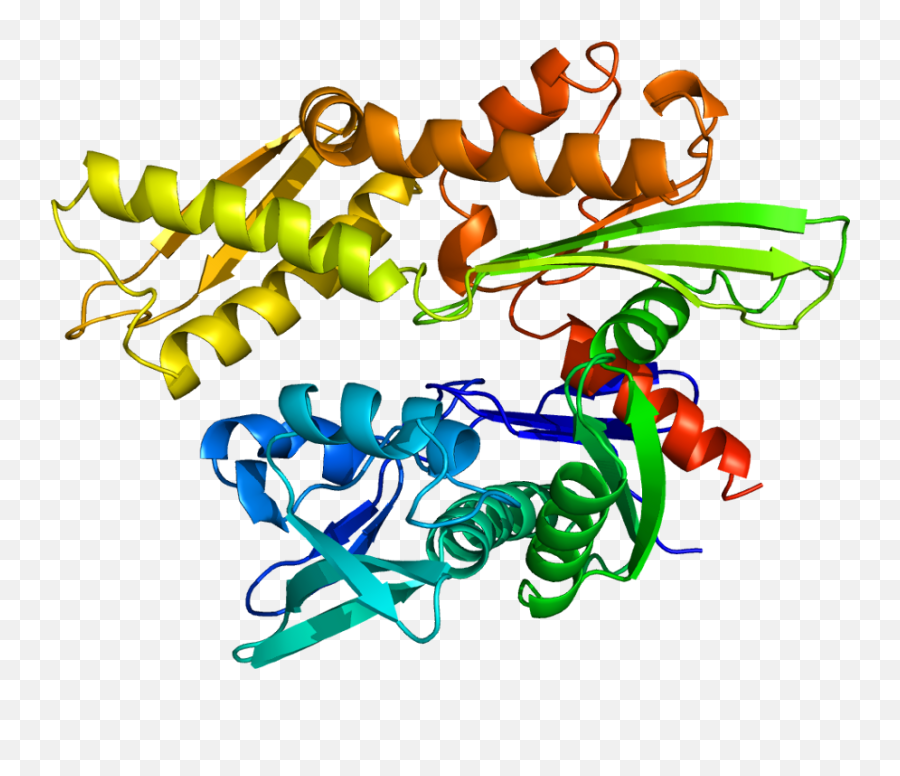 Hspa L Wikipedia - Heat Shock Protein Png Emoji,Emoticon Wikipedia