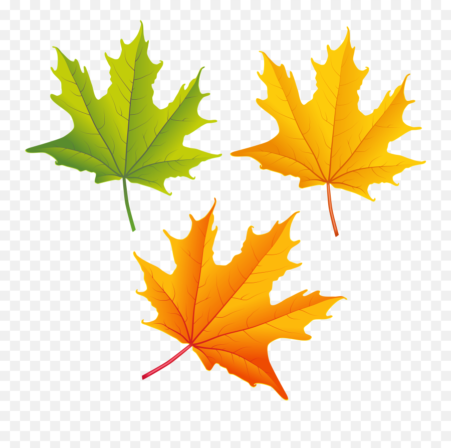 Free Leaf Png Transparent Download - Autumn Leaf Color Clip Art Emoji,Fall Leave Emoji