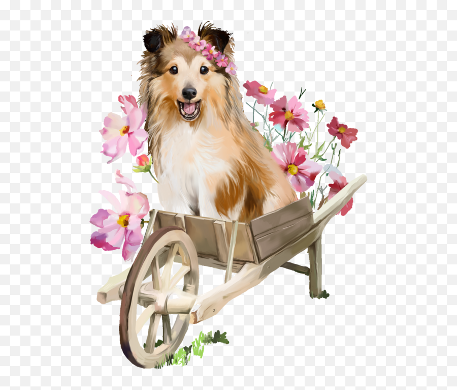 Animal Dog Collie Wheelbarrow Sticker - Sheltie Emoji,Sheltie Emoji